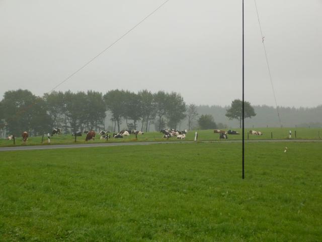 P1000799
